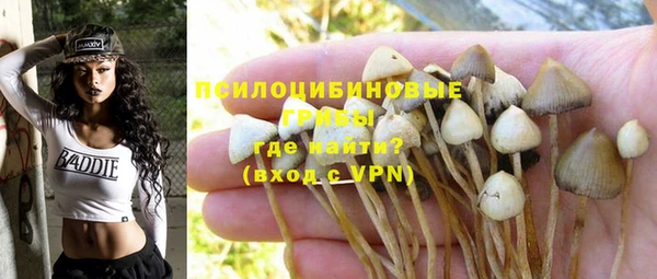 a pvp Алексин